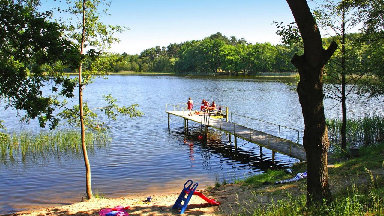 AreaSummer5KM AreaSummer5KM